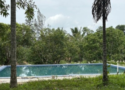 Airvatha Cottages Images