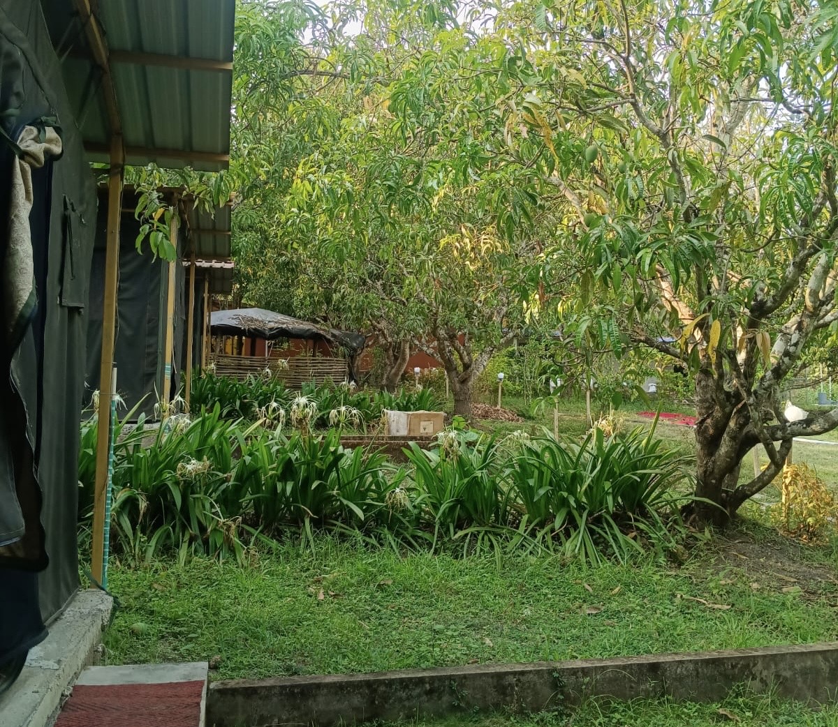 Airvatha Cottages Images